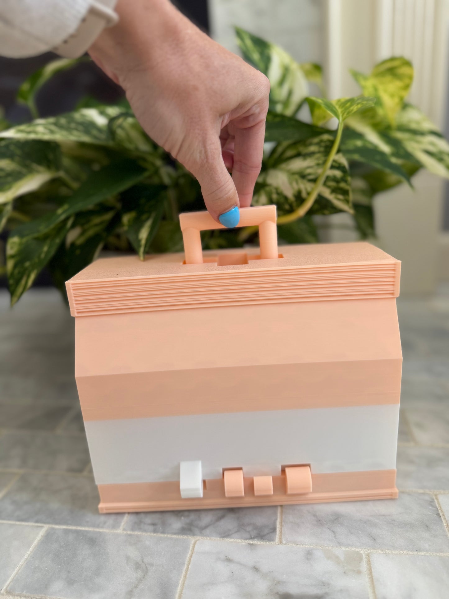 Caterpillar + Bug Catcher/Container